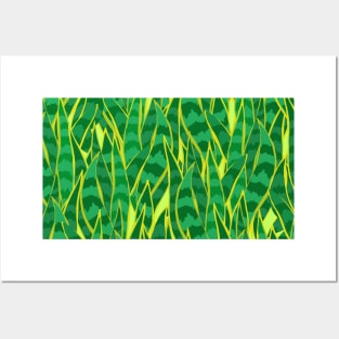 Snake Plant Jungle Posters and Art
